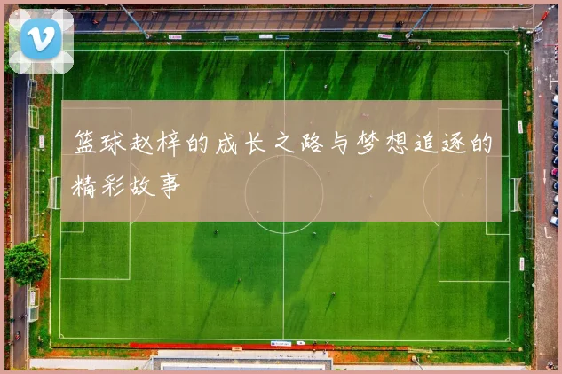 篮球赵梓的成长之路与梦想追逐的精彩故事