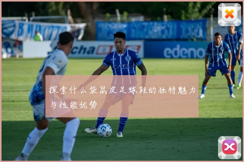 探索什么袋鼠皮足球鞋的独特魅力与性能优势