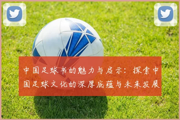 中国足球书的魅力与启示：探索中国足球文化的深厚底蕴与未来发展之路