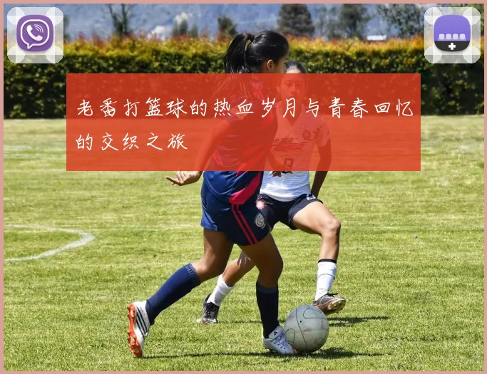 老番打篮球的热血岁月与青春回忆的交织之旅